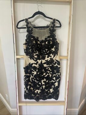 Sleeveless Black Lace Dress on Cream